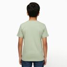 Boys Light Sage Green Round Neck Casual T-Shirt, हल्का हरा, small