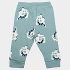 Infants' Teal Jogger Fit Dinosaur Printed Cotton Pyjama, टील ब्लू, small