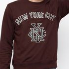 Men's Wine Crew Neck Printed Pullover Sweatshirt, Wine, small