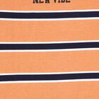 Boys' Cotton Half Sleeves T-Shirt, Rust, small image number null
