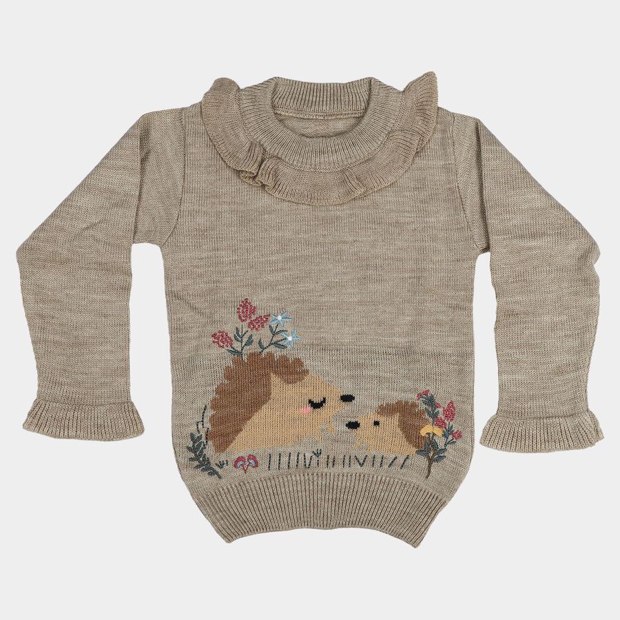 Girls Beige Crew Neck Long Sleeve Pullover, Beige, large