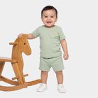 Infants' Mint Green 100% Cotton Crew Neck Graphic Print Baba Suit, हल्का हरा, small