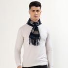 Men's Navy Blue and Grey Checkered Muffler, Light Grey, small image number null