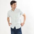 Men's Light Green Cotton Regular Collar Casual Shirt, Light Green, small image number null