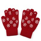 Boys' Gloves, Maroon, small image number null