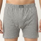 Men Grey Regular Fit Solid Trunks, Melange Light Grey, small