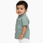 Infants Light Sage Green Cotton Half Sleeve Classic Casual Shirt, हल्का हरा, small image number null