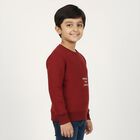 Boys Rich Maroon Crew Neck Casual Sweatshirt, Maroon, small image number null