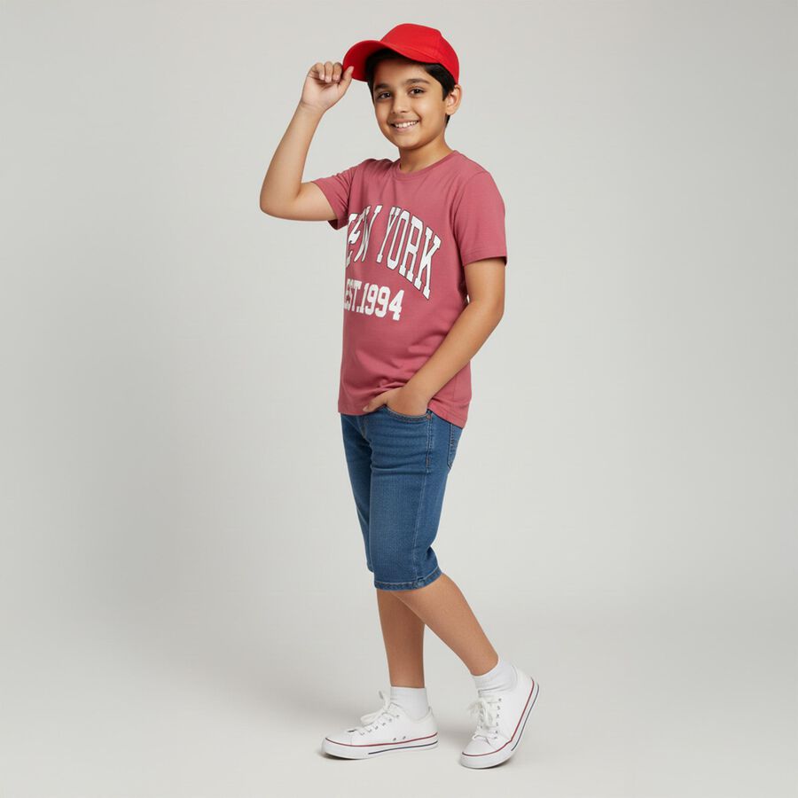 Boys Dusty Rose Crew Neck Casual T-Shirt, Pink, large image number null