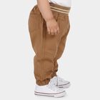 Infants Brown Jogger Fit Teddy Print Trousers, गहरा पीला, small