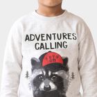 Boys' Grey Crew Neck Graphic Print Sweatshirt, मिश्रित हल्का ग्रे, small