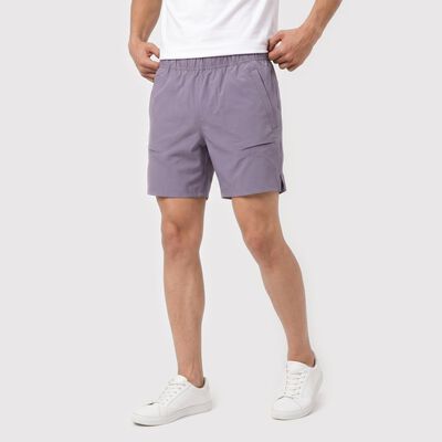 Men's Lilac Regular Fit Shorts