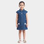 Girls' Blue Fit and Flare Butterfly Applique Denim Frock, मध्यम नीला, small