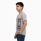 Boys Light Grey Round Neck Casual Half Sleeve T-Shirt, हल्का ग्रे, small image number null