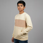 Boys Light Beige Crew Neck Casual Sweatshirt, Beige, small image number null