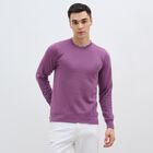 Men's Muted Purple Crew Neck Casual Pullover, Purple, small image number null