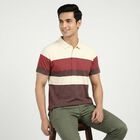 Men's Wine Cotton Collared Neck Casual T-Shirt, Wine, small