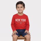 Boys' Red Cotton Blend Crew Neck Regular Boys T-Shirt, लाल, small