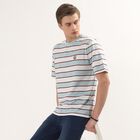 Men's White Round Neck Striped T-Shirt, White, small