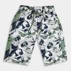 Boys' 100% Cotton Jamaicans, Olive, small image number null
