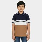 Boys Brown Polo Neck Polo Boys T-Shirt, Brown, small