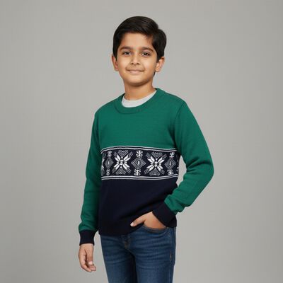 Boys Dark Green and Navy Crew Neck Casual Pullover