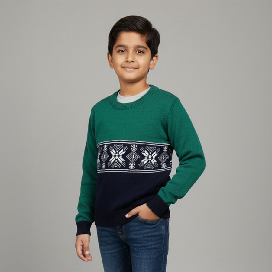 Boys Dark Green and Navy Crew Neck Casual Pullover, गहरा हरा, large image number null