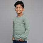 Boys' Light Sage Green Crew Neck Casual T-Shirt, हल्का हरा, small image number null