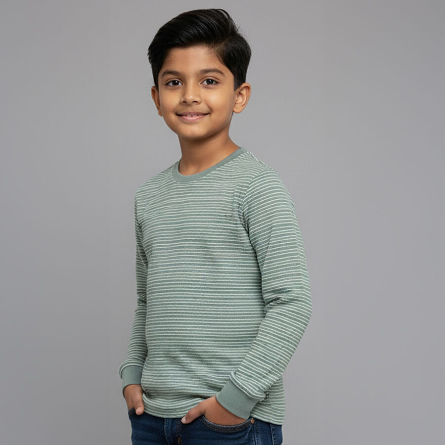 Boys' Light Sage Green Crew Neck Casual T-Shirt, हल्का हरा, large image number null