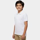 Boys' Half Sleeves T-Shirt, सफ़ेद, small