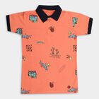 Boys' 100% Cotton Half Sleeves T-Shirt , Orange, small