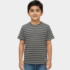Boys' Light Grey Round Neck Graphic Printed T-Shirt, हल्का ग्रे, small