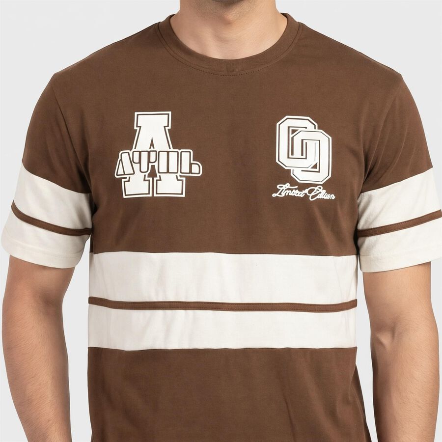 Men's Brown Round Neck Regular T-Shirt, Brown, large