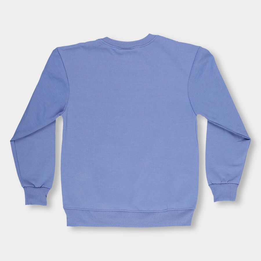 Boys Muted Steel Blue Crew Neck Graphic Sweatshirt, मध्यम नीला, large image number null