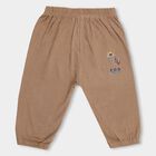 Infants' 100% Cotton Pyjama , गहरा पीला, small image number null