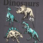 Boys' Dark Grey Cotton Round Neck Printed T-Shirt, Dark Grey, small image number null