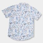 Boys' Snow White Cotton Regular Collar Casual Shirt, White, small image number null