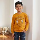 Boys' Mustard Crew Neck Pullover Sweatshirt, Mustard, small