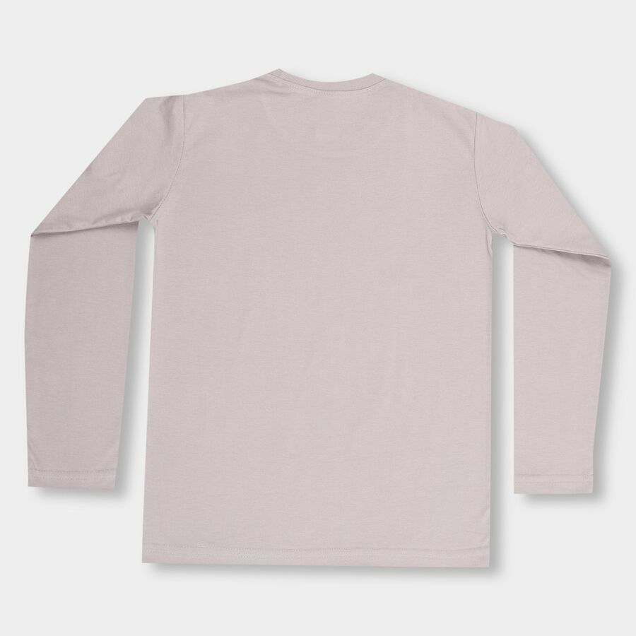 Boys' Light Grey Crew Neck Casual T-Shirt, Light Grey, large image number null