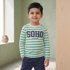 Boys Green Crew Neck Regular Boys T-Shirt, Light Green, small