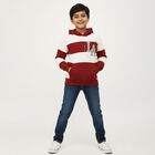 Boys' Sweatshirt, मरून, small image number null