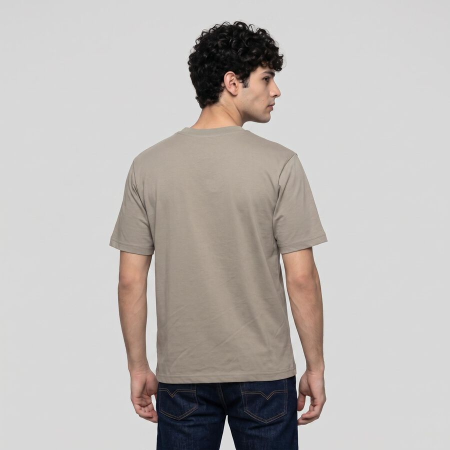 Men Grey Round Neck Regular T-Shirt, हल्का ग्रे, large