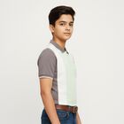 Boys Light Sage Green Polo Neck Casual T-Shirt, हल्का हरा, small image number null
