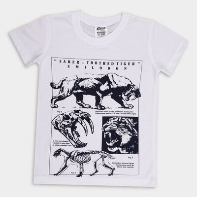 Boys' Half Sleeves T-Shirt