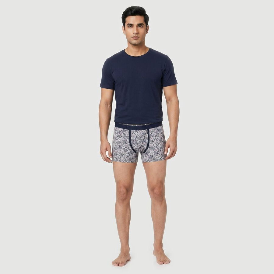 Men's Grey Regular Fit Printed Trunks, Light Grey, large