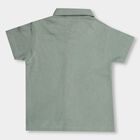 Boys' Muted Sage Green Regular Collar Casual Shirt, Light Green, small image number null