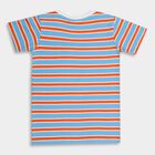 Boys' 100% Cotton Half Sleeves T-Shirt, Light Blue, small image number null