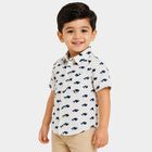 Boys White Cotton Short Sleeves Collar Regular Fit Shirt, White, small