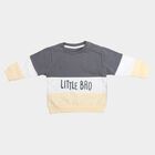 Infants' Grey Cotton Crew Neck Pullover Sweatshirt, Dark Grey, small