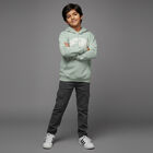Boys Light Sage Green Hooded Casual Sweatshirt, हल्का हरा, small image number null